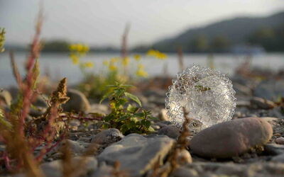 Eine zerbrochene Glaskugel, die von einem Drahtgeflecht umgeben ist, liegt am Ufer eines Flusses. Steine und einige Pflanzen sind in der Nähe der Kugel zu sehen.
