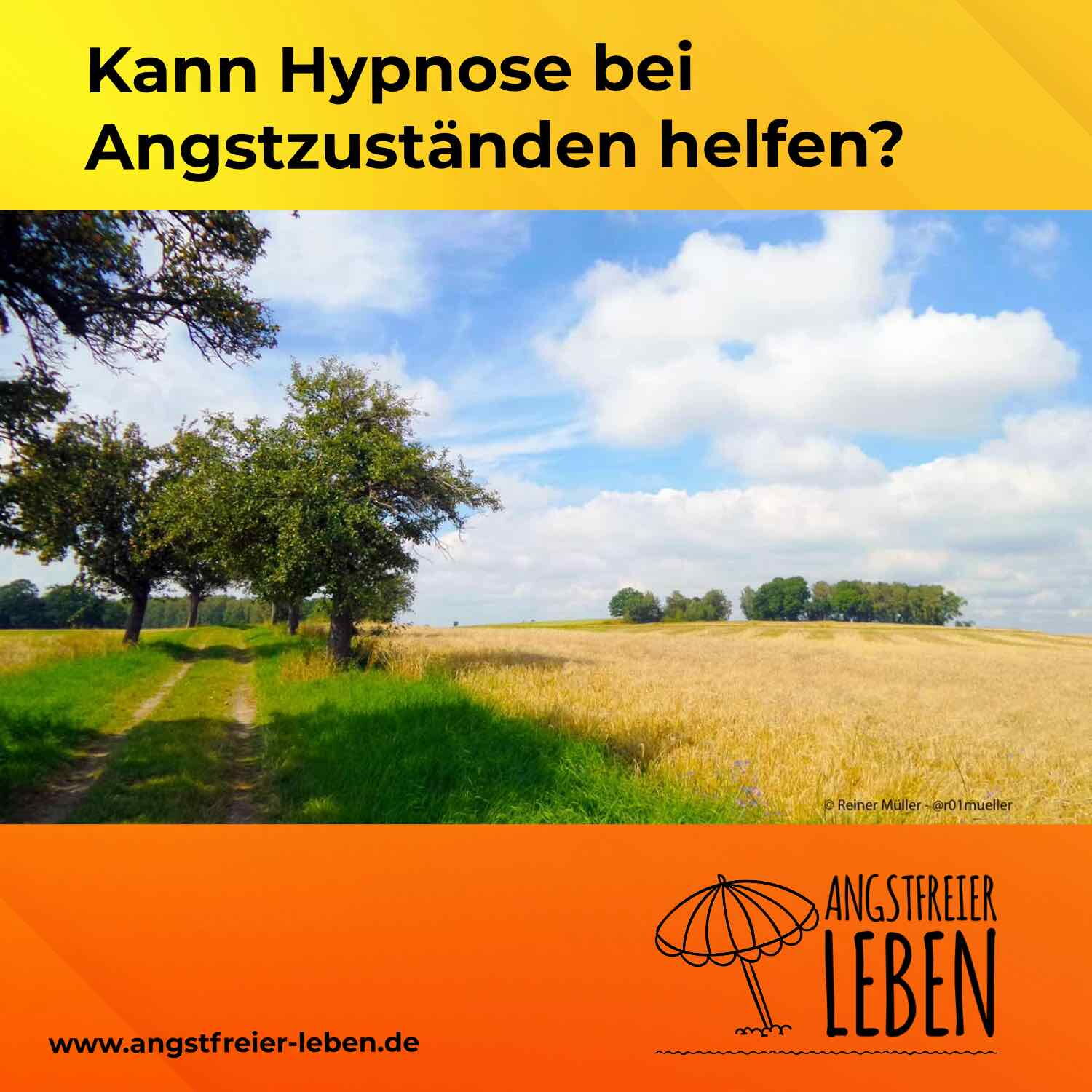 Das Foto zeigt einen Weg mit einzelnen Bäumen an einem Weizenfeld im Sommer. Die Sonne scheint, die Bäume spenden Schatten. Oben der Schriftzug: Kann Hypnose bei Angstzuständen helfen. Unten: www.angstfreier-leben.de Und das Logo.