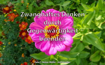 Eine blühende Zinnie. Durch die Konzentration auf den Moment, die Gegenwart, ist es möglich, zwanghaftes Denken zu überwinden. Von Reiner Müller, Coach und Therapeut.