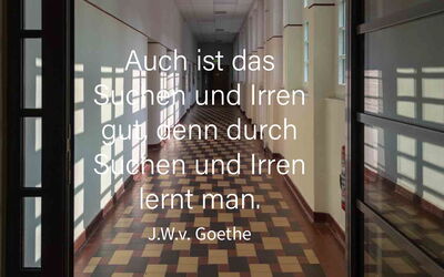 "Auch das Suchen und Irren ist gut, denn durch Suchen und Irren lernt man."  Johann Wolfgang von Goethe