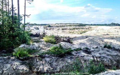 „Was wäre das Leben, hätten wir nicht den Mut, etwas zu riskieren?“  Vincent van Gogh