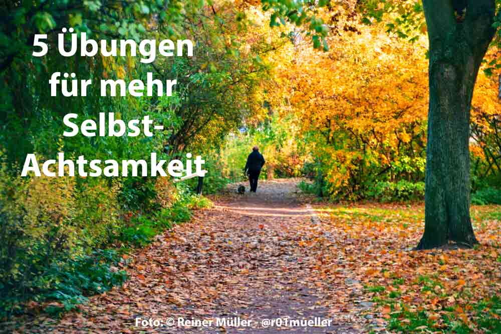 Selbstachtsamkeit- 5 Übungen für Selbstachtsamkeit - Eine Frau geht mit einem Hund einen Herbstweg entlang