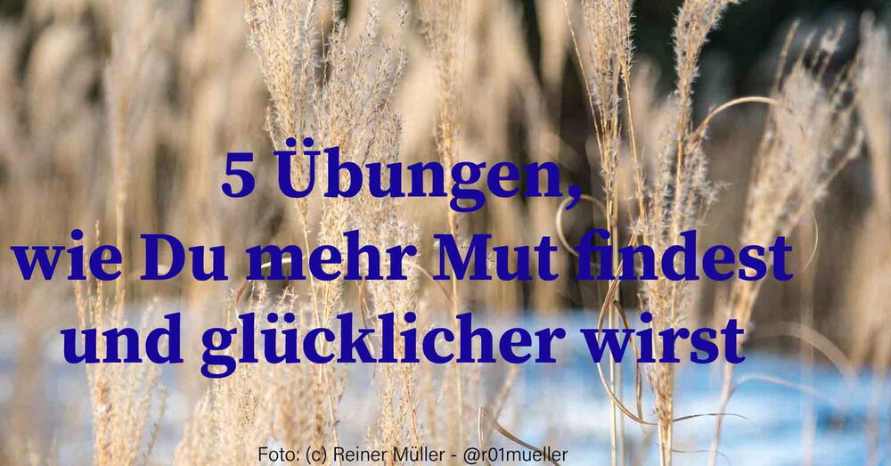 Schilfrohr im Winter. Die Halme im Vordergrund verhindern etwas den Blick nach hinten. Sie müssen überwunden werden. Mehr Mut, um weiter zu kommen.