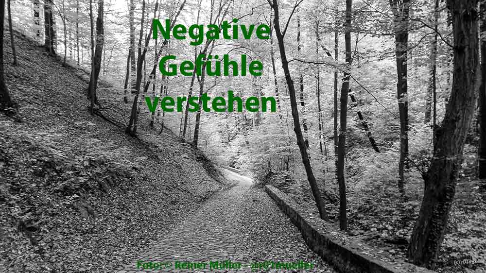 Ein Weg im Wald. Links ein Berg, rechts ein Tal, in der Mitte führt der Weg.